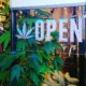 Coffeeshops Amsterdam openmsterdam open